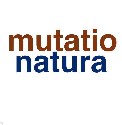 This chart plots collocate by scoreSUBST, for the headword locus here are all the values plotted: collocate: superus; scoreSUBST: 0. collocate: is; scoreSUBST: 0. collocate: hic; scoreSUBST: 0. collocate: commutatio; scoreSUBST: 3. collocate: iniquus; scoreSUBST: 0. collocate: ipse; scoreSUBST: 0. collocate: unus; scoreSUBST: 0. collocate: natura; scoreSUBST: 2. collocate: desertus; scoreSUBST: 0. collocate: opportunus; scoreSUBST: 0. collocate: in; scoreSUBST: 0. collocate: multus; scoreSUBST: 0. collocate: ex; scoreSUBST: 0. collocate: pono; scoreSUBST: 0. collocate: aequus; scoreSUBST: 0. collocate: muto; scoreSUBST: 0. collocate: confero; scoreSUBST: 0. collocate: ubi; scoreSUBST: 0. collocate: opportunitas; scoreSUBST: 2. collocate: mutatio; scoreSUBST: 2. collocate: apertus; scoreSUBST: 0. collocate: obtineo; scoreSUBST: 0. collocate: colloco; scoreSUBST: 0. collocate: consularis; scoreSUBST: 0. collocate: moueo; scoreSUBST: 0. collocate: paro; scoreSUBST: 0. collocate: nascor; scoreSUBST: 0. collocate: praesidium; scoreSUBST: 2. collocate: constituo; scoreSUBST: 0