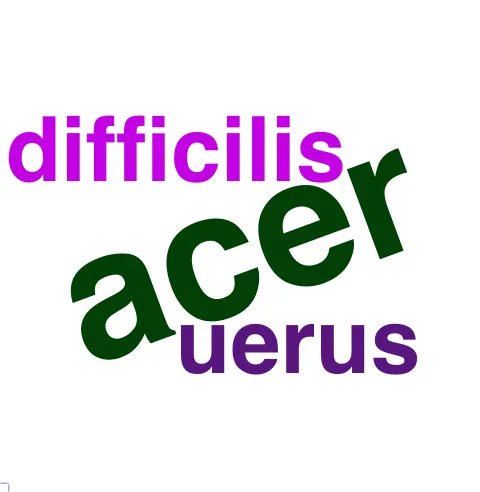 This chart plots collocate by scoreADJ, for the headword qua here are all the values plotted: collocate: magis; scoreADJ: 0. collocate: multus; scoreADJ: 0. collocate: potius; scoreADJ: 0. collocate: malo; scoreADJ: 0. collocate: uideo; scoreADJ: 0. collocate: sum; scoreADJ: 0. collocate: parum; scoreADJ: 0. collocate: ut; scoreADJ: 0. collocate: uolo; scoreADJ: 0. collocate: ipse; scoreADJ: 0. collocate: aliter; scoreADJ: 0. collocate: bonus; scoreADJ: 2. collocate: scio; scoreADJ: 0. collocate: paruus; scoreADJ: 2. collocate: intellego; scoreADJ: 0. collocate: primum; scoreADJ: 0. collocate: saepe; scoreADJ: 0. collocate: debeo; scoreADJ: 0. collocate: amplus; scoreADJ: 2. collocate: turpis; scoreADJ: 2. collocate: longe; scoreADJ: 0. collocate: quisquam; scoreADJ: 0. collocate: uere; scoreADJ: 0. collocate: dulcis; scoreADJ: 2. collocate: nascor; scoreADJ: 0. collocate: bene; scoreADJ: 0. collocate: stultus; scoreADJ: 2. collocate: diligenter; scoreADJ: 0. collocate: prosum; scoreADJ: 0. collocate: dignus; scoreADJ: 2. collocate: excedo; scoreADJ: 0. collocate: late; scoreADJ: 0. collocate: appeto; scoreADJ: 0. collocate: olim; scoreADJ: 0. collocate: cito; scoreADJ: 0. collocate: popularis; scoreADJ: 2. collocate: fruor; scoreADJ: 0. collocate: acer; scoreADJ: 2. collocate: difficilis; scoreADJ: 1. collocate: miror; scoreADJ: 0. collocate: morior; scoreADJ: 0. collocate: uerus; scoreADJ: 1