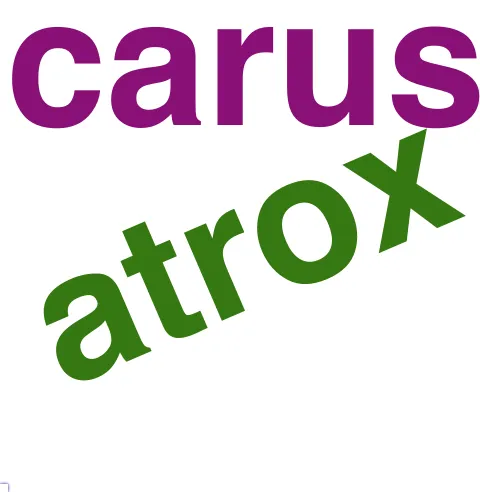 This chart plots collocate by scoreADJ, for the headword tam here are all the values plotted: collocate: longus; scoreADJ: 2. collocate: multus; scoreADJ: 0. collocate: non; scoreADJ: 0. collocate: nihil; scoreADJ: 0. collocate: iste; scoreADJ: 0. collocate: longe; scoreADJ: 0. collocate: clarus; scoreADJ: 2. collocate: amens; scoreADJ: 2. collocate: demens; scoreADJ: 2. collocate: uehemens; scoreADJ: 2. collocate: stultus; scoreADJ: 2. collocate: familiaris; scoreADJ: 2. collocate: tot; scoreADJ: 0. collocate: magnus; scoreADJ: 2. collocate: diu; scoreADJ: 0. collocate: enim; scoreADJ: 0. collocate: nemo; scoreADJ: 0. collocate: cur; scoreADJ: 0. collocate: uero; scoreADJ: 0. collocate: atrox; scoreADJ: 2. collocate: immanis; scoreADJ: 2. collocate: exiguus; scoreADJ: 2. collocate: grauis; scoreADJ: 2. collocate: ualde; scoreADJ: 0. collocate: breuis; scoreADJ: 2. collocate: numquam; scoreADJ: 0. collocate: carus; scoreADJ: 2. collocate: praeclarus; scoreADJ: 2. collocate: improbus; scoreADJ: 2. collocate: quis; scoreADJ: 0. collocate: umquam; scoreADJ: 0. collocate: tantus; scoreADJ: 0