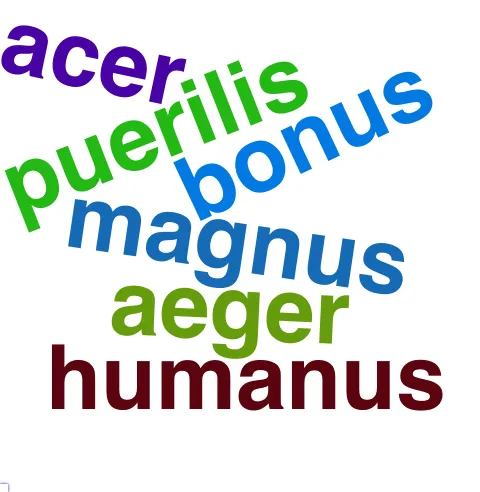 This chart plots collocate by scoreADJ, for the headword animus here are all the values plotted: collocate: aequus; scoreADJ: 4. collocate: magnitudo; scoreADJ: 0. collocate: impetus; scoreADJ: 0. collocate: tuus; scoreADJ: 0. collocate: magnus; scoreADJ: 2. collocate: robur; scoreADJ: 0. collocate: tandem; scoreADJ: 0. collocate: in; scoreADJ: 0. collocate: atque; scoreADJ: 0. collocate: fero; scoreADJ: 0. collocate: uirtus; scoreADJ: 0. collocate: uis; scoreADJ: 0. collocate: et; scoreADJ: 0. collocate: motus; scoreADJ: 0. collocate: sum; scoreADJ: 0. collocate: bonus; scoreADJ: 2. collocate: miles; scoreADJ: 0. collocate: aeger; scoreADJ: 2. collocate: induco; scoreADJ: 0. collocate: corpus; scoreADJ: 0. collocate: fingo; scoreADJ: 0. collocate: humanus; scoreADJ: 2. collocate: aetas; scoreADJ: 0. collocate: puerilis; scoreADJ: 2. collocate: alacer; scoreADJ: 2. collocate: offensio; scoreADJ: 0. collocate: erigo; scoreADJ: 0. collocate: infirmus; scoreADJ: 2. collocate: offendo; scoreADJ: 0. collocate: acer; scoreADJ: 2. collocate: exilium; scoreADJ: 0. collocate: liber; scoreADJ: 2